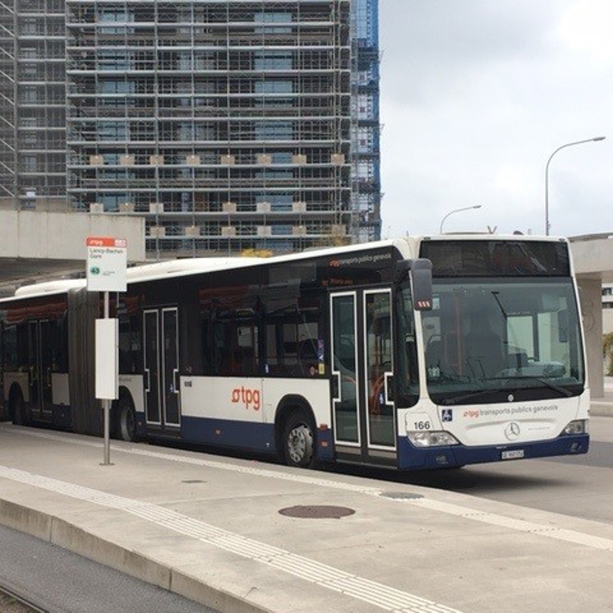 TPG Bus
